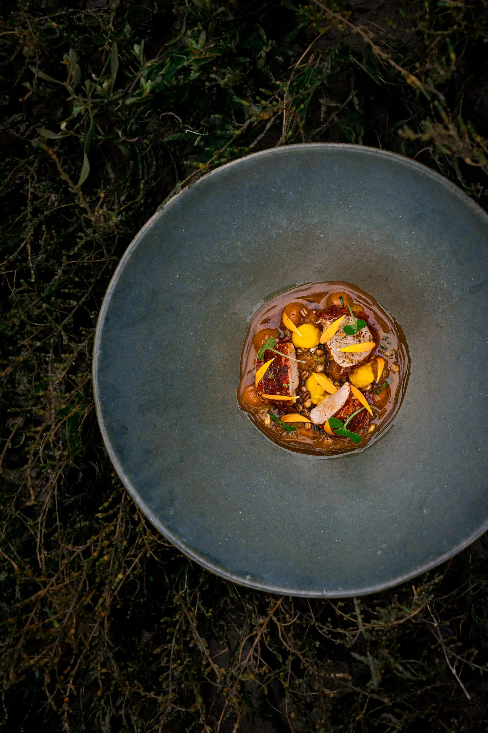 Image par défaut illustrant le propos de la page Le restaurant de Coeur de Nacre