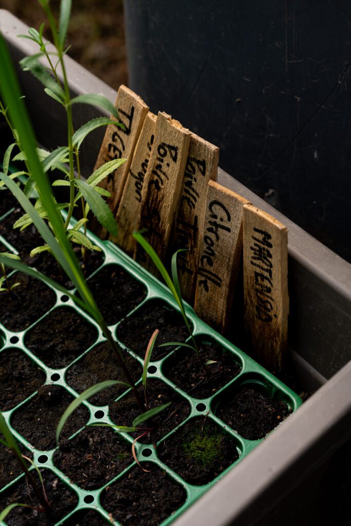 Image par défaut illustrant le propos de la page Le restaurant de Coeur de Nacre